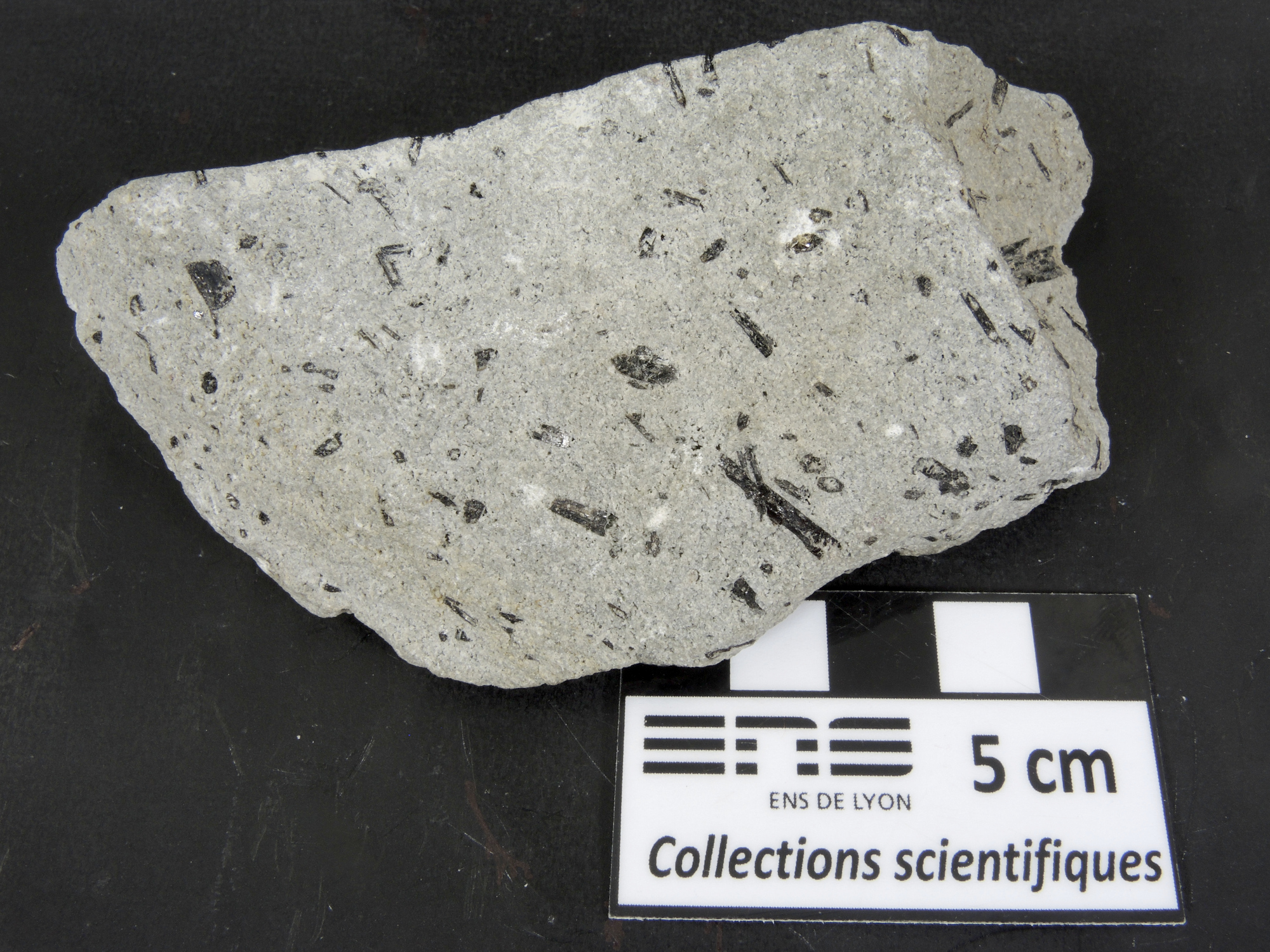 Andésite porphyrique à amphibole Andésite porphyrique à amphibole Axe volcanique trans-mexicain Pico de Orizaba  